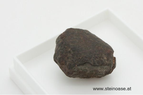 Meteorit / Steinmeteorit